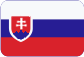 REMS Česká republika s.r.o. Slovensky
